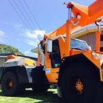 Marshall Cranes - Pic 1