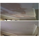 Robert Richards Painter and Decorator Pty Ltd - Pic 1
