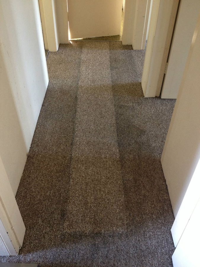 Z Best Carpet Care Carpet Cleaning & Protection Wagga Wagga Yellow Pages®