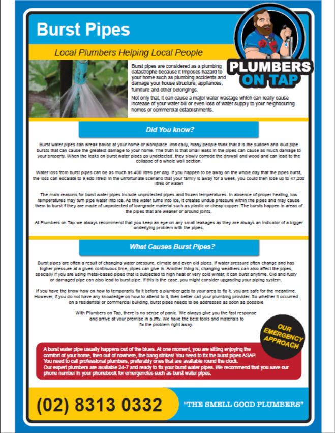 Burst Pipes