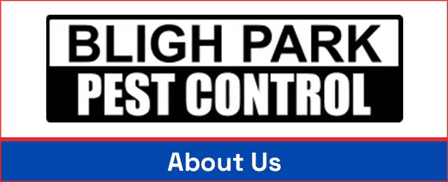 Bligh Park Pest Control - Promotion 2