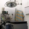 Pet Universe Veterinary Centre Broadview & Northgate - Pic 5