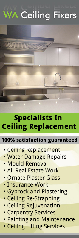 WA Ceiling Fixers - Promotion