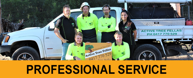 Active Tree Fellas - Promotion 2