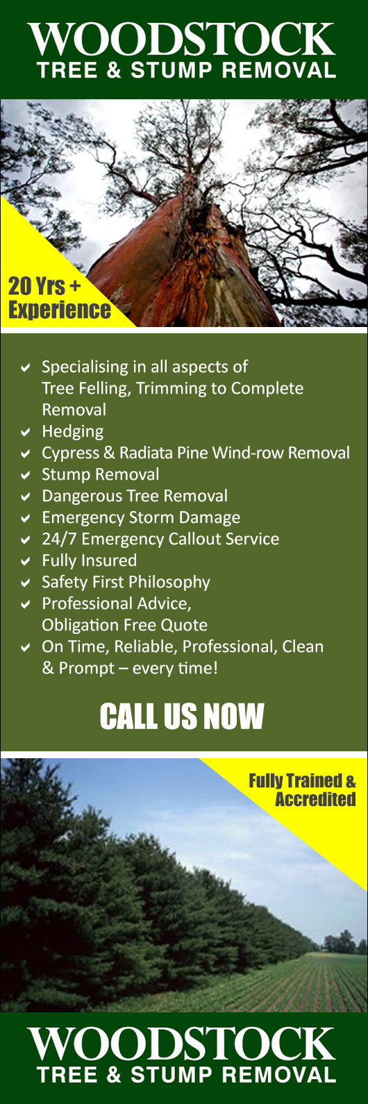 Woodstock Tree & Stump Removal - Promotion