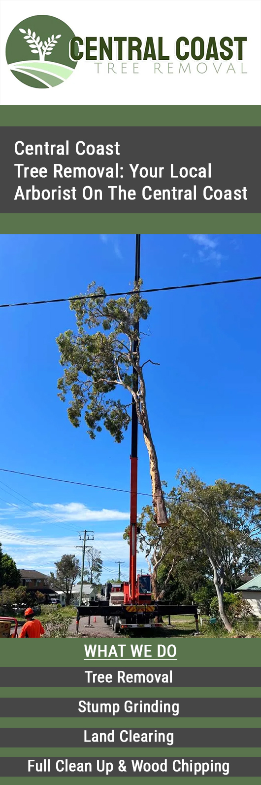 Central Coast Tree Removal - Promotion