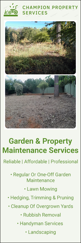 Champion Property Services - Promotion