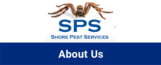 Shore Pest Services - Promotion 2