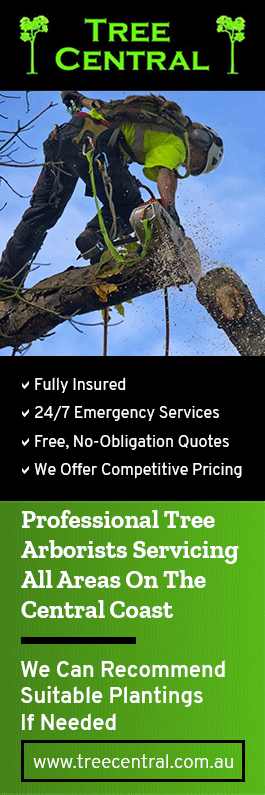 Tree Central - Promotion