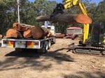 Brady Tree Service Pty Ltd - Pic 5