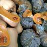 Nardi Produce Pty Ltd - Pic 1