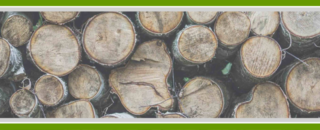 Walton's Tree Care Services - Promotion 1