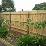 Metropolitan Fencing And Gates Pty Ltd - Pic 6