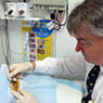 Port Macquarie Skin Cancer Clinic - Pic 2