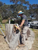 Picton Pest Control - Pic 6