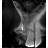 Clayray Dental Radiology - Pic 1