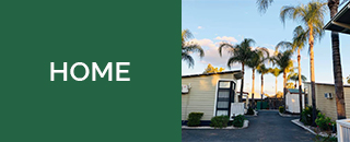 Cut Above Tree Care (Aust) Pty Ltd - Promotion 1