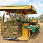 Sunraysia Evergreen Turf - Pic 5