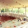 Go Hire The Event People - Pic 5