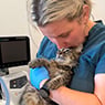 Grange Veterinary Clinic - Pic 8