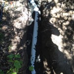 Supaman Plumbing Services - Pic 7
