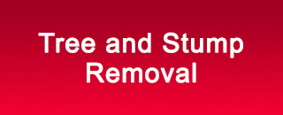 Redback Tree Services - Promotion 1