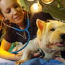 Animal Hospital