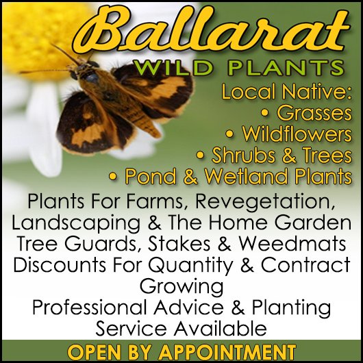 Ballarat Wild Plants Garden Nurseries 435 Joseph St Canadian
