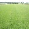 Award Turf Supplies - Pic 8