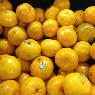 Nardi Produce Pty Ltd - Pic 3