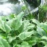 Fernwood Landscape Supplies & Nursery - Pic 3