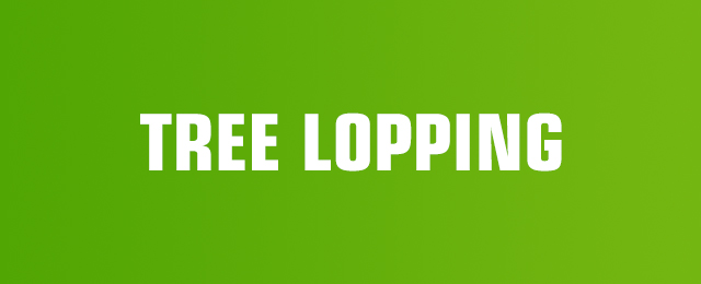 MSZ Tree Lopping Service - Promotion 1
