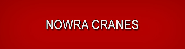 Nowra Cranes - logo