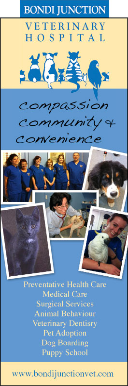 Bondi Junction Veterinary Hospital - Promotion