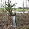 Enviroconsult Australia Pty Ltd - Pic 1