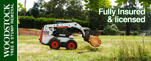Woodstock Tree & Stump Removal - Promotion 1