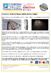Bogong Moths & Gas Appliances