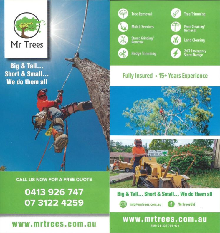 Mr Trees Brochure