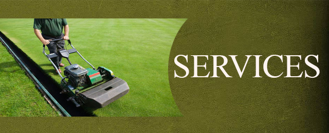 Amazing Grass Lawn Mowing - Promotion 2