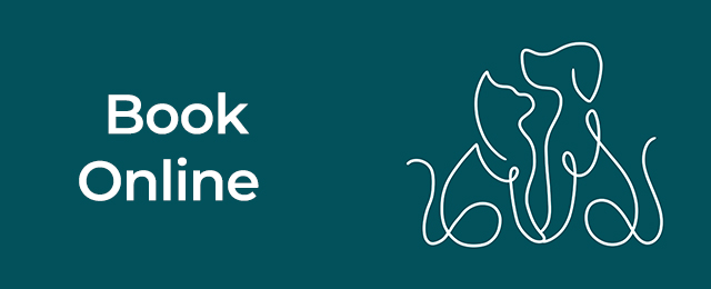 Grange Veterinary Clinic - Promotion 1