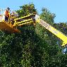 Steve Cairns Tree Service - Pic 8