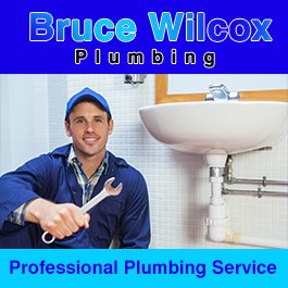 Bruce Wilcox Plumbing - Promotion