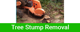 Horizon Tree Service - Promotion 1