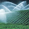 Southwell Irrigation - Pic 8