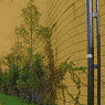 United Crib Blocks Construction Pty Ltd - Pic 3