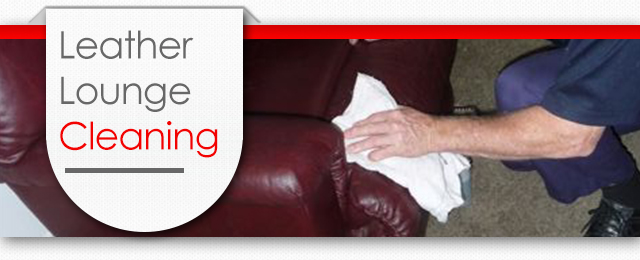 Stain Busters Carpet Cleaning & Pest Control - Promotion 2