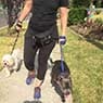 Pets Get Physical - Pic 2