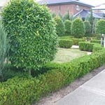 Brimbank Mowing & Gardening - Pic 7