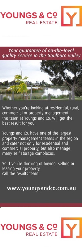 Youngs & Co - Promotion