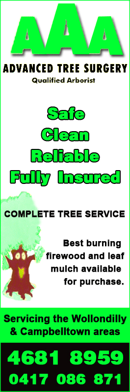 AAA Advanced Tree Surgery - Promotion